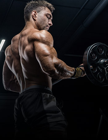 Fitness gears